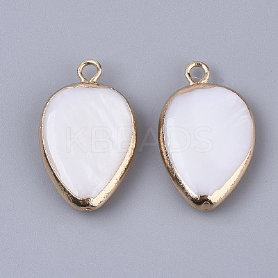 Edge Plated Freshwater Shell Pendants X-SHEL-S276-37-1