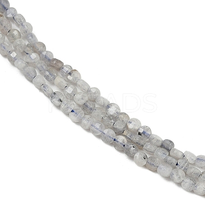 Natural Labradorite Beads Strands G-RM2025-A30-2mm-1