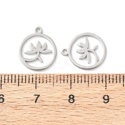 304 Stainless Steel Charms LS-STAS-D202-05P-1