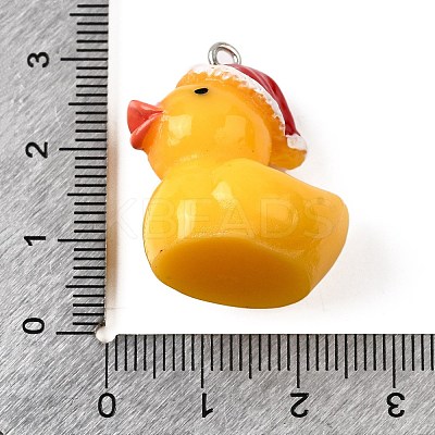 Resin Pendants FIND-U031-13B-P-1