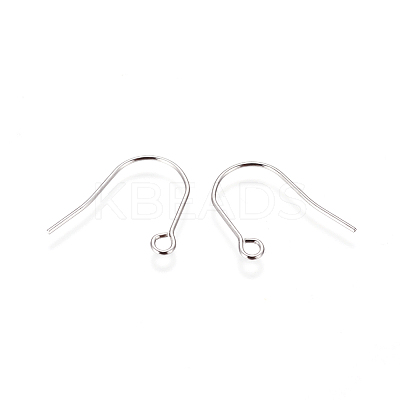 Tarnish Resistant 316 Surgical Stainless Steel Earring Hooks X-STAS-F216-03P-B-1