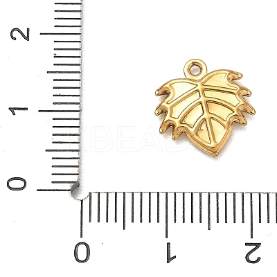 304 Stainless Steel Charms SA-CBA1975-05G-03-1