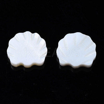 Natural Freshwater Shell Beads SHEL-S278-034-1