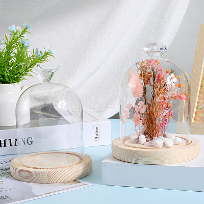 1Pc Glass Dome Cover AJEW-SC0002-61B-1