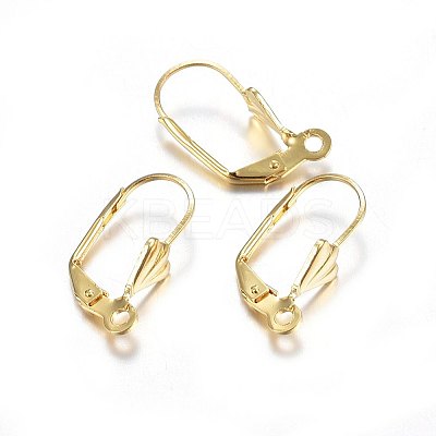304 Stainless Steel Leverback Earring Findings X-STAS-P210-32G-1