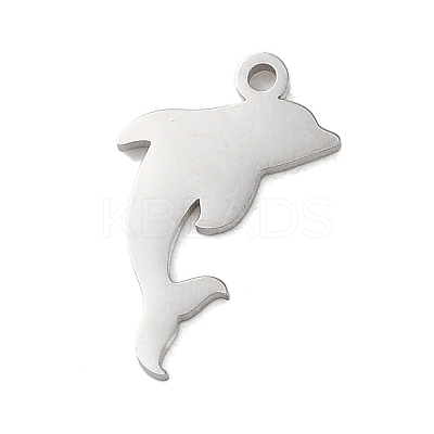 Non-Tarnish 304 Stainless Steel Charms LS-STAS-S138-01P-03-1