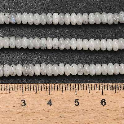 Natural Labradorite Beads Strands G-L635-A05-4x2mm-1