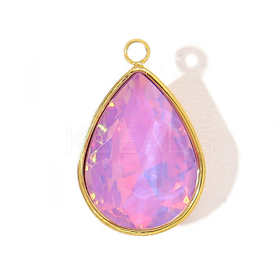 304 Stainless Steel Glass Pendants STAS-H230-93G-1