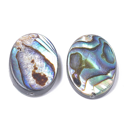 Abalone Shell/Paua Shell Beads SSHEL-T008-14-1