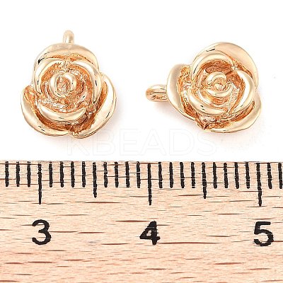 Brass Pendants KK-U028-13G-1