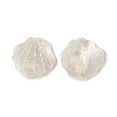 Natural Sea Shell Pendants LS-SSHEL-T012-11-1