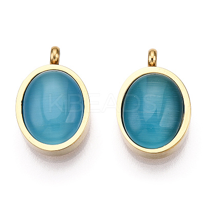 304 Stainless Steel Pendants STAS-T064-15G-1