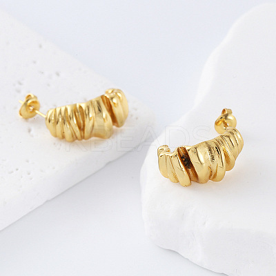 Irregular 304 Stainless Steel Twisted Stud Earrings for Women FC7299-1