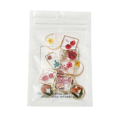 12Pcs 6 Styles Transparent Clear Epoxy Resin Pendants RESI-FS0001-88A-1