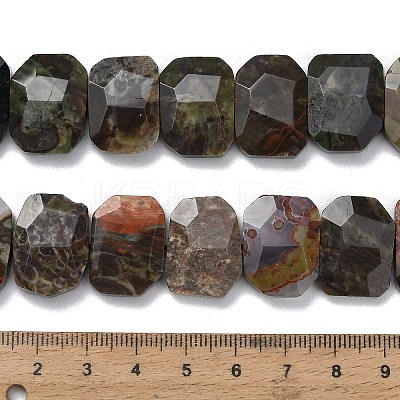 Natural Wealth Stone Beads Strands G-C285-A09-01-1