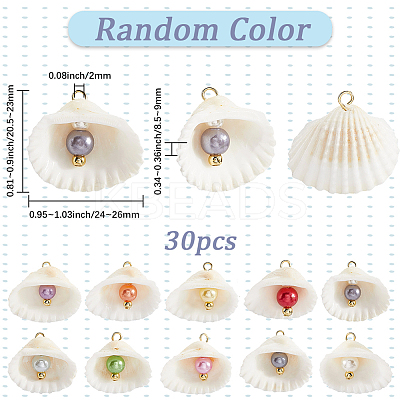 30Pcs Natural Shell & Imitation Pearl Pendants PALLOY-SC0004-42-1
