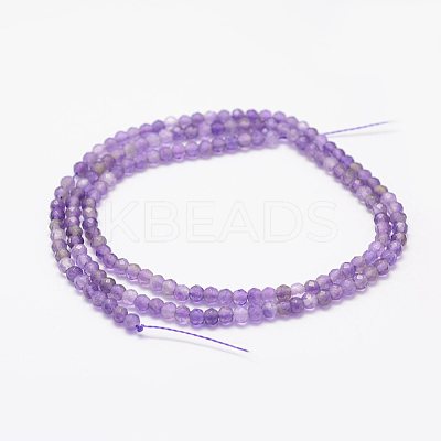 Natural Amethyst Beads Strands LS-G-F460-50-1