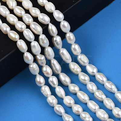 Natural Cultured Freshwater Pearl Beads Strands PEAR-N012-05D-1
