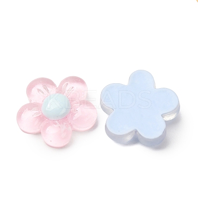 Transparent Resin & Glitter Powder Cabochons RE-CBA0EC6-02-1