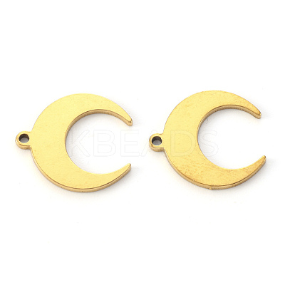 PVD Vacuum Plating 304 Stainless Steel Pendants STAS-N092-102G-1