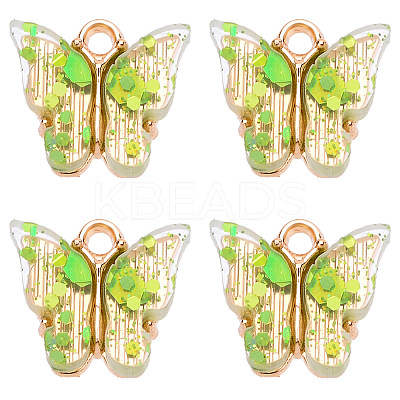 Transparent Acrylic Charms LS-BUER-PW0002-02E-1