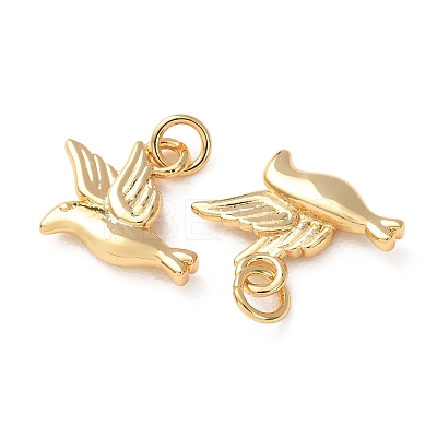 Brass Pendants KK-H297-06G-1
