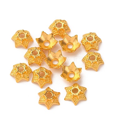 Tibetan Style Bead Caps LS-AA188-G-NR-1