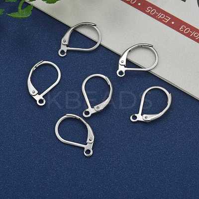 Tarnish Resistant Stainless Steel Color Tone 304 Stainless Steel Leverback Earring Findings X-STAS-E007-3-1