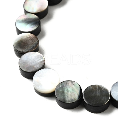 Natural Black Lip Shell Beads Strands BSHE-D300-05-10mm-1