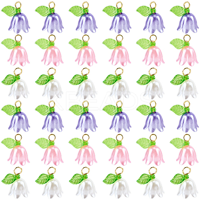 36Pcs 3 Colors Acrylic Charms KY-SC0002-45-1