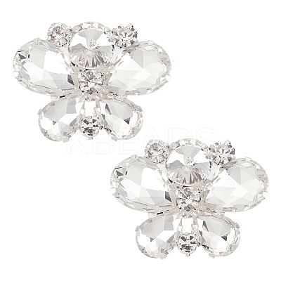 2Pcs Alloy Rhinestone Wedding Shoe Decorations FIND-FG0002-48D-1