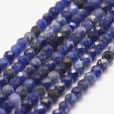 Natural Sodalite Bead Strands G-P279-58-3mm-1