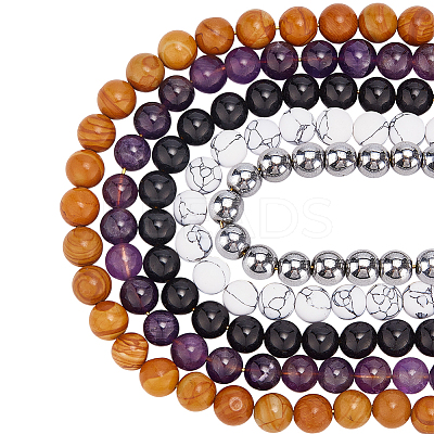 125Pcs 5 Styles Synthetic Howlite & Magnetic Hematite & Natural Amethyst & Obsidian & Tigerskin Jasper Round Beads G-WR0001-10-1