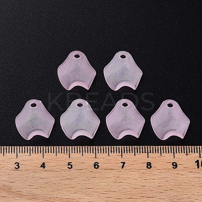 Transparent Acrylic Beads LS-X-MACR-S373-106-D05-1