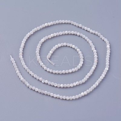 Shell Beads Strands SSHEL-E571-38-2mm-1