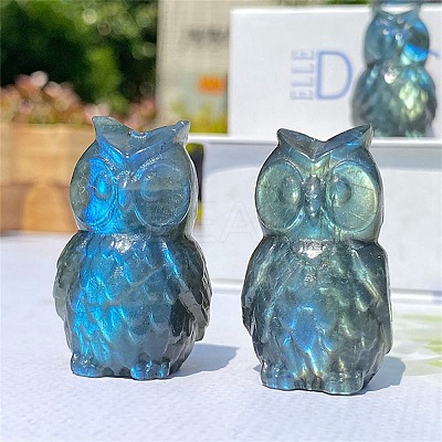 Natural Labradorite Carved Healing Owl Figurines PW-WG54127-01-1