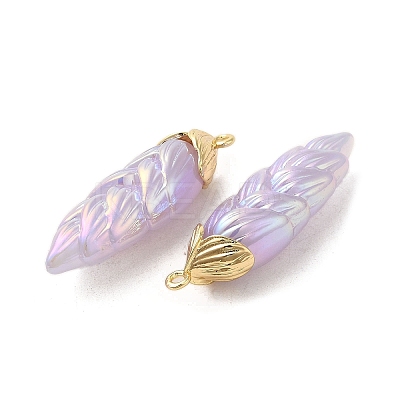 Rainbow Iridescent Plating Resin Pendants LS-RESI-C047-03E-G-1