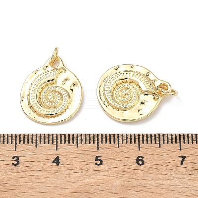 Brass Pendants KK-C252-13G-1