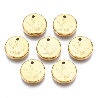 316 Surgical Stainless Steel Charms STAS-S116-418A-G-1