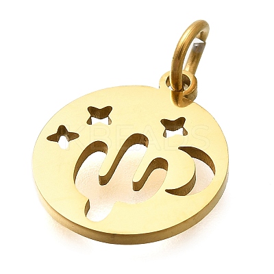 304 Stainless Steel Charms STAS-Z119-07G-1
