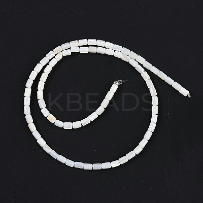 Natural Freshwater Shell Beads Strands BSHE-H109-17A-1
