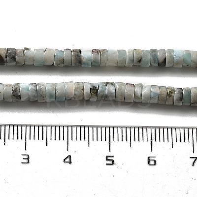 Natural Larimar Beads Strands G-Q024-B03-01-1