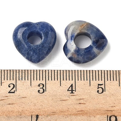 Natural Sodalite European Beads G-C252-01I-1