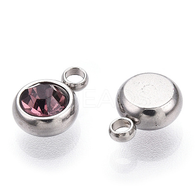 201 Stainless Steel Rhinestone Charms STAS-S068-06-1