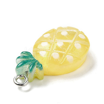 Resin Pendants X1-RESI-P027-04M-1