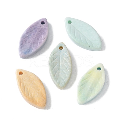 Natural Rainbow Alashan Agate Pendants G-G194-03-1