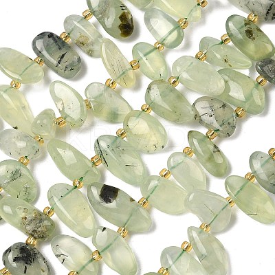 Natural Prehnite Beads Strands G-P604-A02-01-1