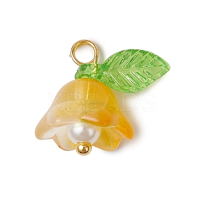 Glass Charms PALLOY-MZ00838-01-1