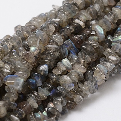 Natural Labradorite Chip Bead Strands G-M298-06-1