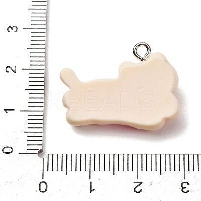 Opaque Resin Pendants RE-CBA5B90-04C-1